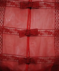 Valentino détail dentelle rouge