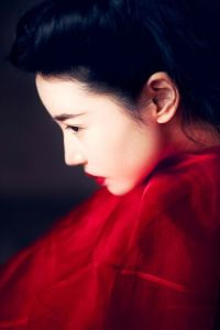 Valentino photo art Zhang Xin Yuan wearing Valentino by Wang Feng