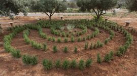 Apivita labyrinthe romarin et lavende
