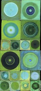 Couleurs Emery et Cie