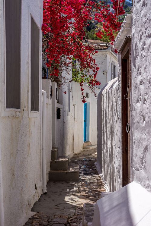 Hydra rue 2